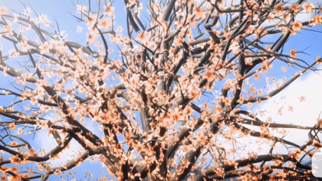 《天师钟馗》片尾曲 周定纬《回音》